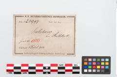 Etiketten zu Bronzebrillenfibel (NHMW-PRAE-023997)